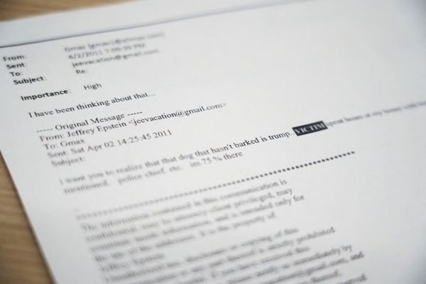 کاخ سفید انتشار ایمیل اپستین درباره ترامپ را «لکهننگ دموکراتها» خواند