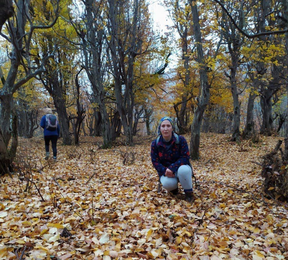 31 منظمة حقوقية تطالب بالإفراج عن الناشطة الإيرانية المحكومة عليها بالإعدام شريفة محمدي