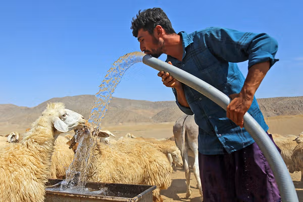 معاون وزارت نیرو: با ادامه روند فعلی، امکان تامین پایدار آب شرب با چالش روبهرو میشود