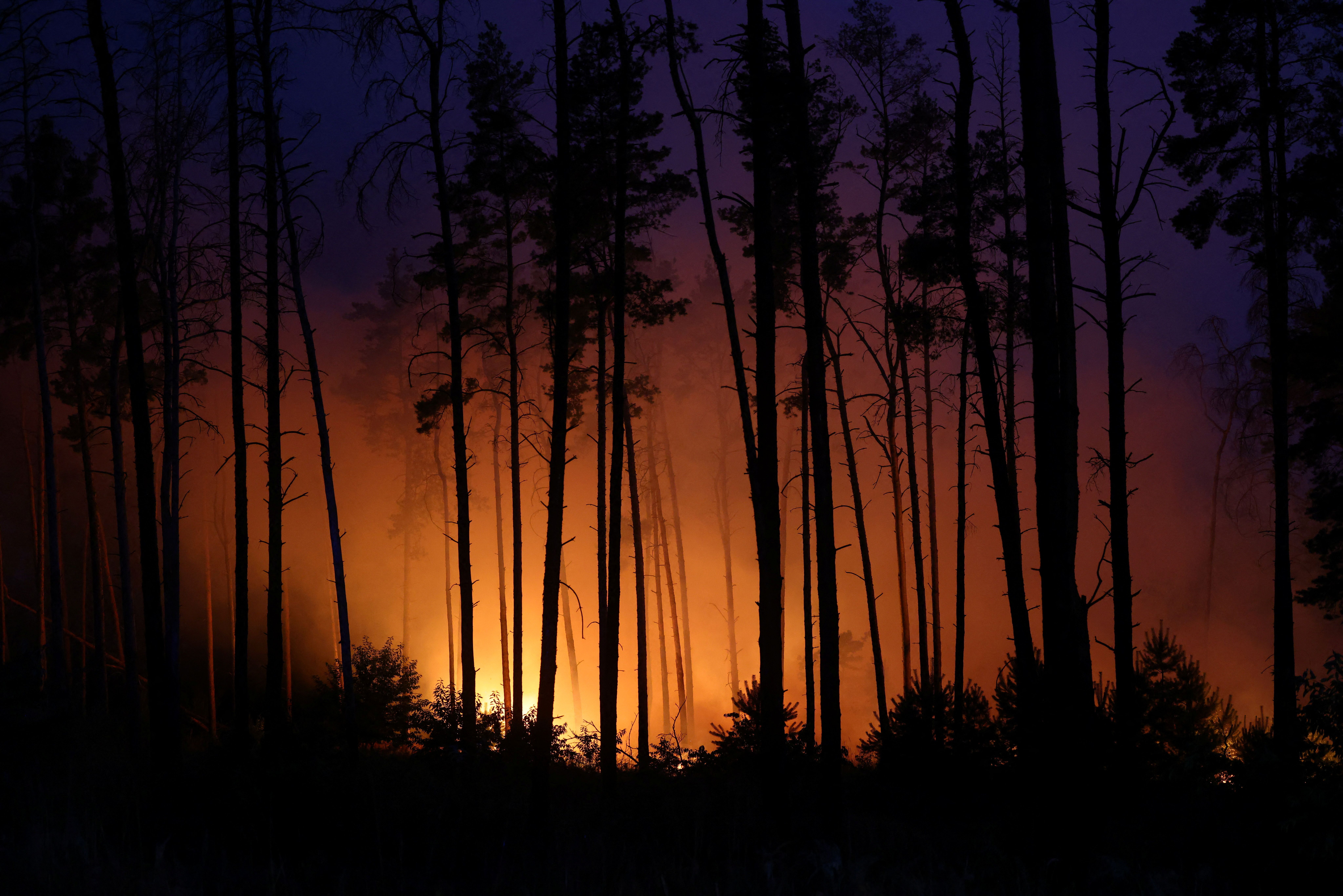 موج آتش‌سوزی‌ها جنگل‌های سوریه، ترکیه و اروپا را درنوردید