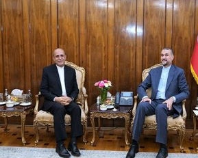 خبرگزاری دولتی ایرنا: جمهوری اسلامی سفیر جدید به سوئد اعزام نمیکند