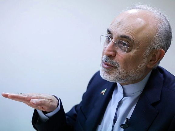 قائممقام رییس فرهنگستان علوم: راه آمدن نخبگان خارجی به ایران را هموار کنیم