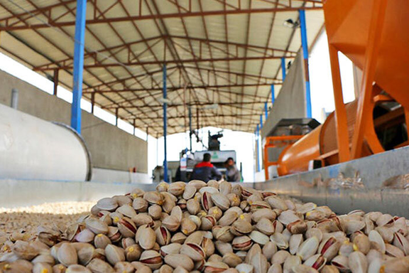 Iranian pistachios at a processing facility