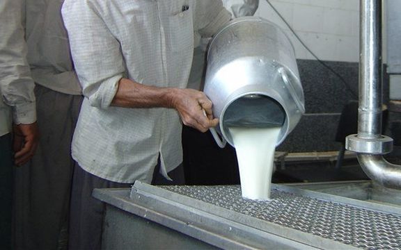 انجمن صنایع فرآوردههای لبنی: ناتوانی مردم در خرید، سرانه مصرف لبنیات را کاهش داد