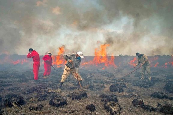 علی کلانه: ۲۳۱ هکتار از میانکاله در آتشسوزی سریالی سوخت، یک کامیون آبرسان اعزام نکردند
