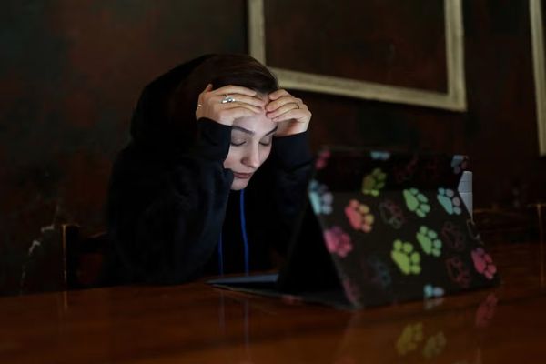 Two months offline: Iran blackout drives losses, access splits