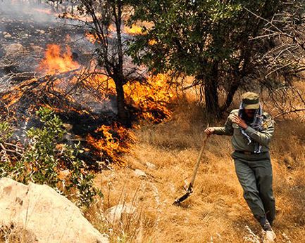 روزنامه همشهری: در سه روز اخیر ۳۰ هکتار جنگل و سه هزار هکتار مرتع کشور در آتش خاکستر شد