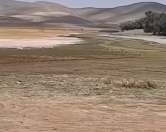 مرگ تدریجی دریاچهها و تالابها در ایران؛ نوبت به تالاب قوریگل رسید