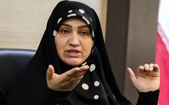 رییس فراکسیون محیطزیست مجلس: خامنهای پای کاشت و نگهداشت درخت ایستاده است