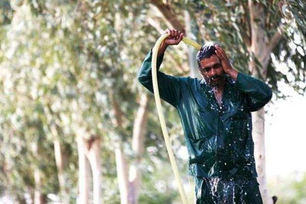 Over 500 Workers Collapsed From Heatstroke In Iran