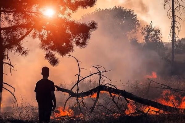 Turkey sends aircraft to help battle Iran wildfires