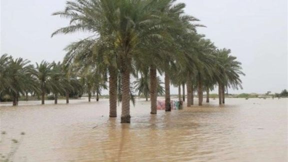 بارش شدید باران در سیستان و بلوچستان، جاری شدن سیل و نابودی صدها نخل خرما
