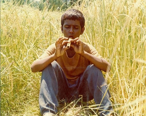 «باشو، غریبه کوچک» و فرزندان آفتاب و زمین