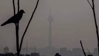 With city smog and forest fires, even breathing is a political act in Iran