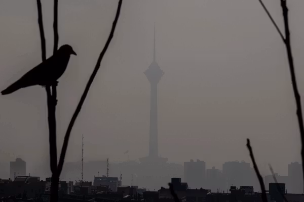 With city smog and forest fires, even breathing is a political act in Iran