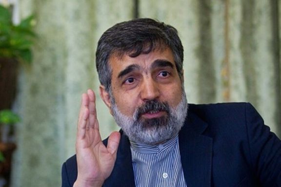 سخنگوی سازمان انرژی اتمی: بازرسان آژانس بینالمللی انرژی اتمی اطلاعات زیادی ندارند