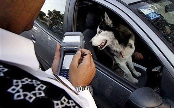 امام جمعه سمنان: زندگی با سگ با فرهنگ اسلامی فاصله دارد