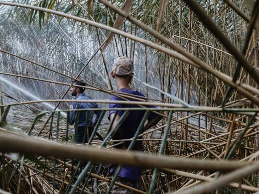 آتشسوزی عمدی در تالاب انزلی؛ بازداشت یک نفر به اتهام «آتشافروزی»