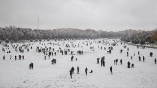 It's the economy: grim livelihoods explain Iranian anger