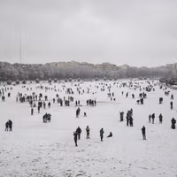 It's the economy: grim livelihoods explain Iranian anger