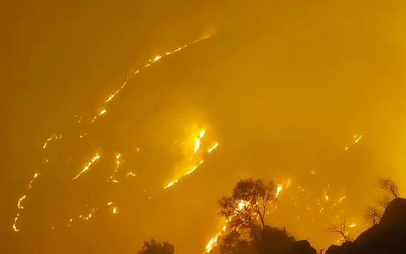 تردید در مهار آتشسوزی خائیز؛ نیمی از منطقه حفاظتشده سوخت