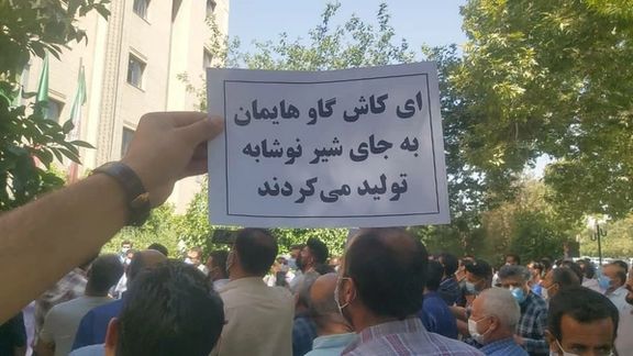 گروهی از دامداران در استانهای فارس، یزد و خراسان رضوی تجمع اعتراضی برگزار کردند