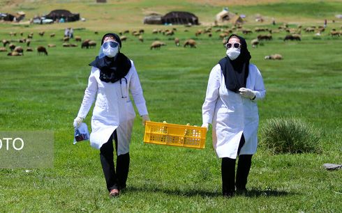 Tehran University of Medical Sciences: Those in a hurry to get vaccinated should go to rural and marginal areas