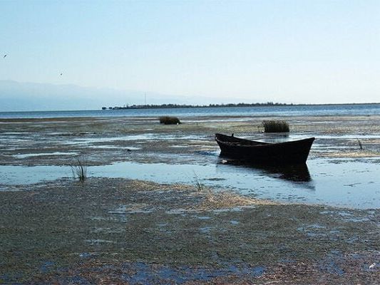 مقام سازمان محیطزیست: تا ۲۰ سال آینده، یکچهارم دریای خزر خشک میشود