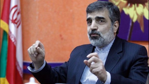 سخنگوی سازمان انرژی اتمی: دنیا در پی خرید آب سنگین از ایران است