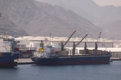 Persian Gulf states pour billions into routes bypassing Hormuz