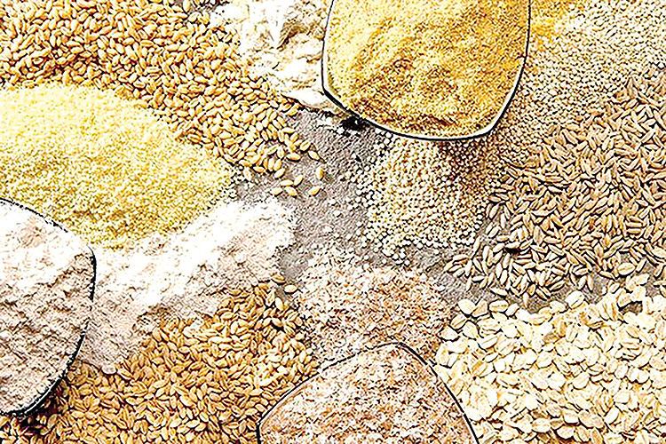 عضو هیات نمایندگان اتاق بازرگانی: بیش از ۹۰ درصد ذرت و ۹۵ درصد سویای کشور وارداتی است