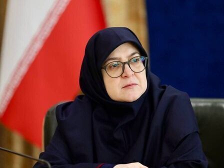 مهاجرانی، سخنگوی دولت پزشکیان: زیرساختهای ما برای سرمایهگذاری آمریکا آماده نیست