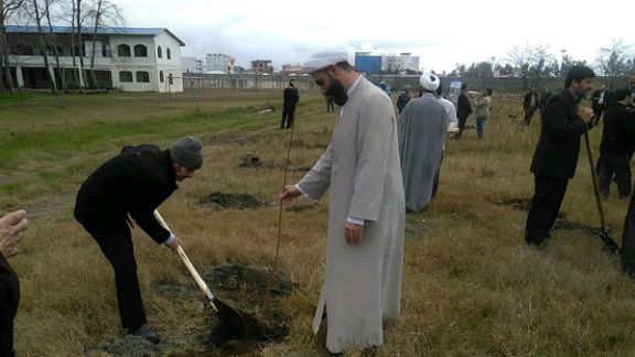 مدیر حوزههای علمیه: برای اعلام همبستگی با مردم غزه در ۱۳ فروردین نهال بکارید