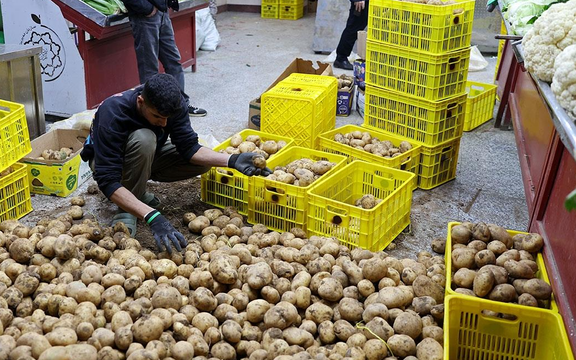 خبرگزاری ایسنا: قیمت سیبزمینی در تهران تا کیلویی ۶۰ هزار تومان افزایش یافته است