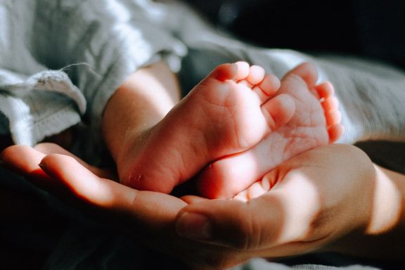 رییس سازمان مدیریت: تهران در میان پنج استان با کمترین میزان باروری قرار دارد