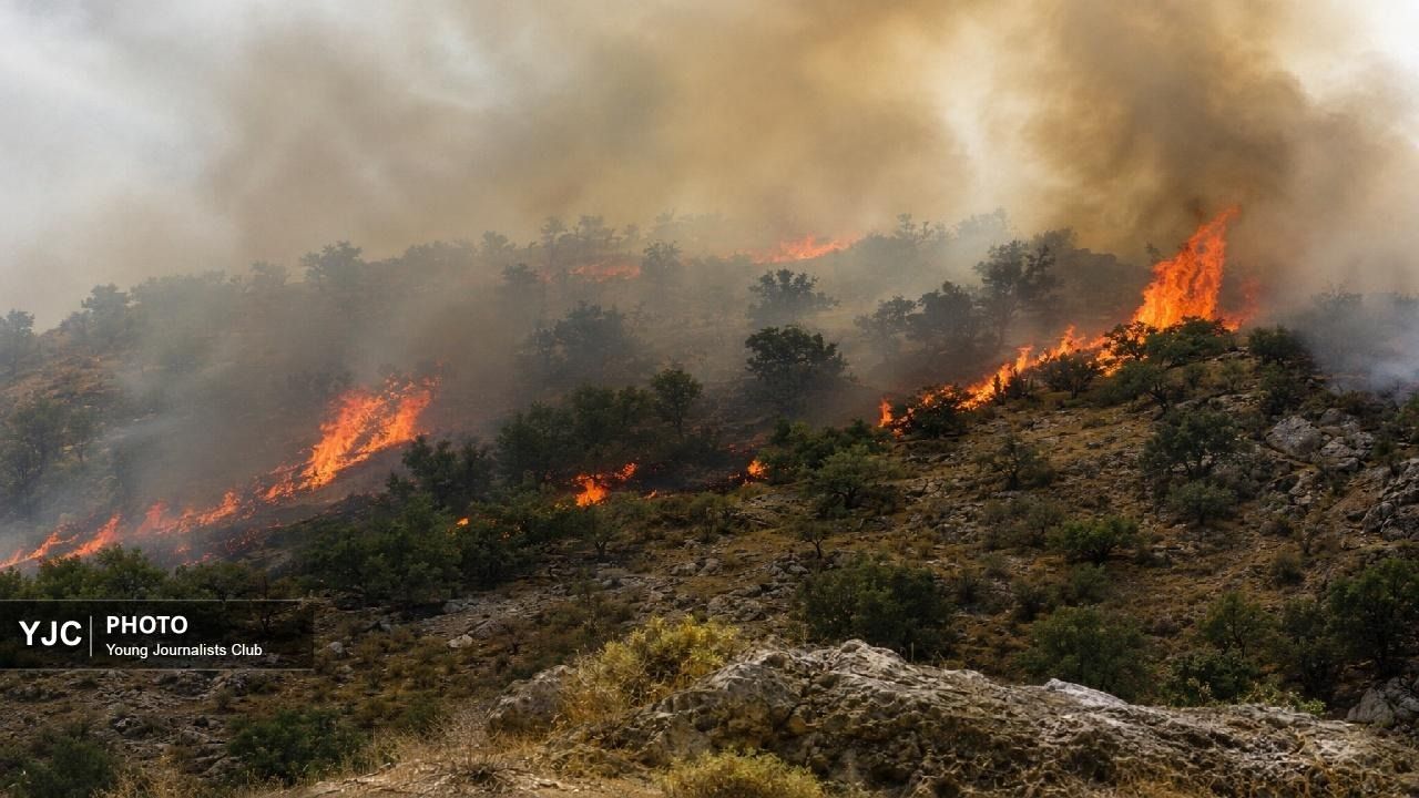 Wildfire burns through southern protected forests in Iran