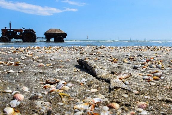 مدیرکل منابع طبیعی مازندران: یکونیم میلیون متر مربع از نوار ساحلی مازندران خشک شده است