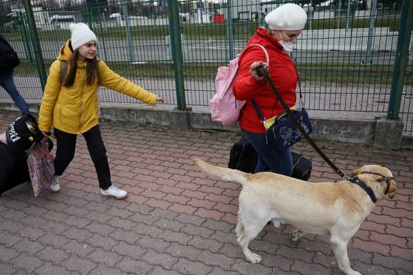 Iran Askes Hungary To Help Evacuate Nationals From Ukraine