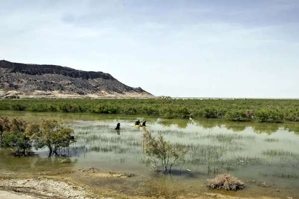 إهمال حكومي فاقم الأزمة.. بلوشستان إيران تواجه كارثة بيئية واقتصادية مع جفاف "هور هامون"