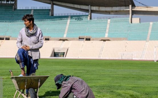 «کارگران درحال نشاکاری هستند!»؛ آمادهسازی چمن ورزشگاه تختی با بیل، کلنگ، فرغون و سطل رنگ