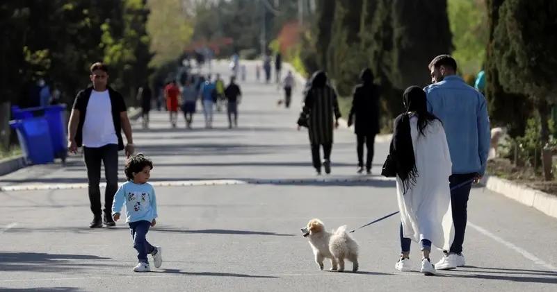 Iran Dogs Iran extends dog walking bans to more than 20 cities as crackdown ...