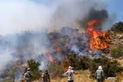 منظمة إدارة الأزمات: لم يأتِ أيّ بلد لمساعدة إيران في إخماد حرائق غابات شمال البلاد