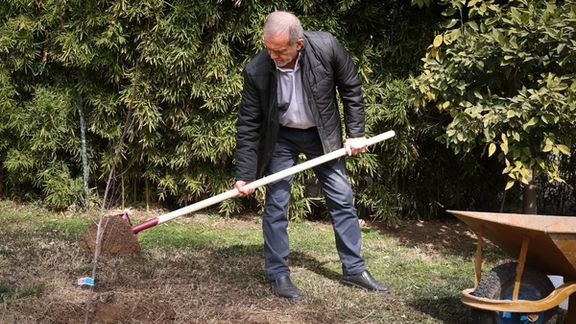 مسعود پزشکیان: با کاشت سه درخت میتوانیم کشور را از این وضعیت نجات دهیم