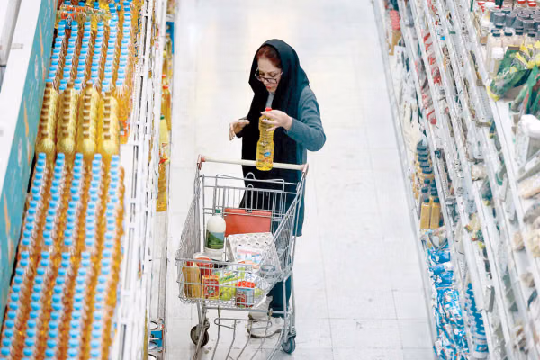 Ignore prices and economy is fine, Iran ex-minister says