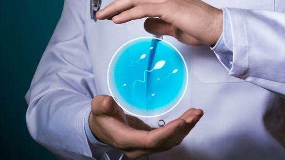 مطالعات جدید دلایل کاهش نرخ باروری مردان در دهههای اخیر را روشن میکند