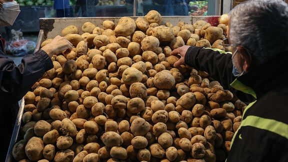 سیبزمینی ایرانی برای ایرانیان ۹۰ هزار تومان، برای بازار عراق و افغانستان ۱۴ هزار تومان