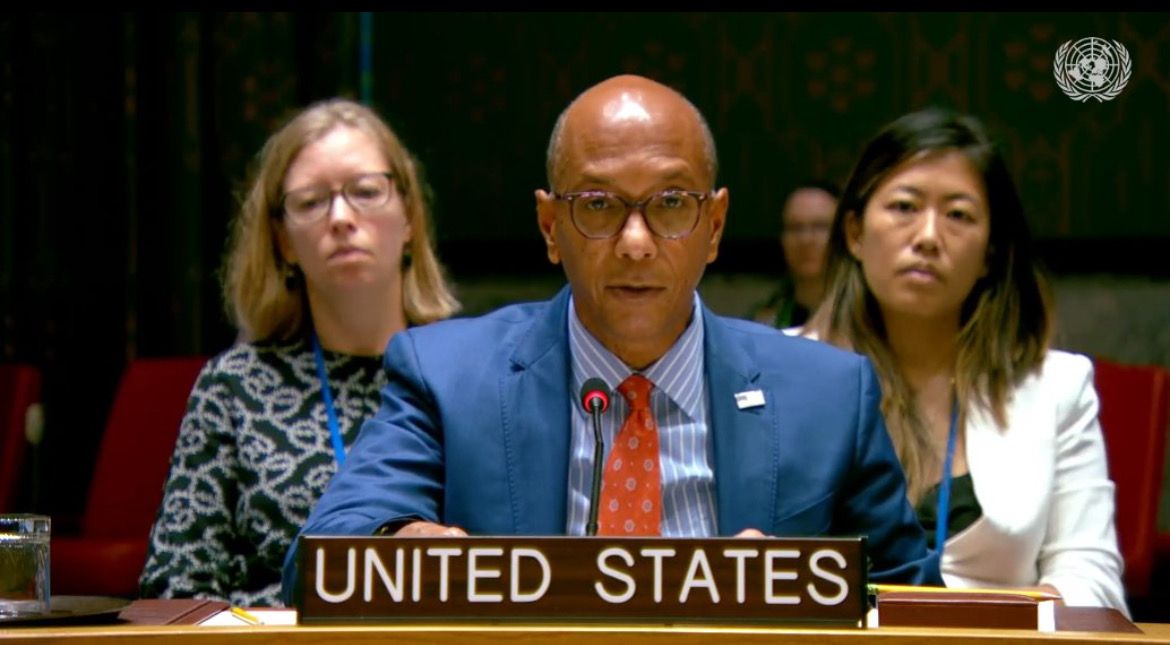 رابرت وود، معاون نماینده ایالات متحده در سازمان ملل