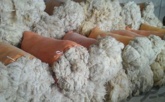 قیمت بالای پشم گوسفند در بازار؛ هر گونی پشم گوسفند تا نیم میلیون تومان به فروش میرسد