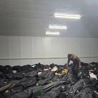 جنایت و دروغ؛ عدد تکراری ۳۱۱۷ در آمار رسمی جمهوری اسلامی چه میگوید؟