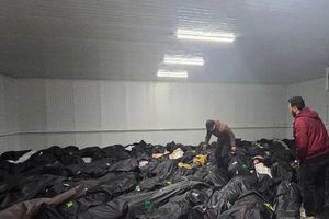 جنایت و دروغ؛ عدد تکراری ۳۱۱۷ در آمار رسمی جمهوری اسلامی چه میگوید؟